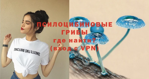 jwh Верея