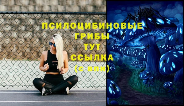 мдпв Верхнеуральск