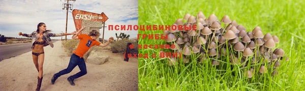мдпв Верхнеуральск