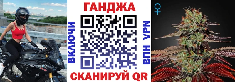 Конопля план  Купить  Полтавская 